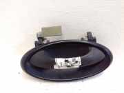 Türaußengriff hinten links