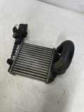 Ladeluftkühler VW Passat B7 Alltrack (36, B7) 3B0145805J