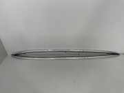 Dachreling links BMW X5 (F15, F85) 7295813