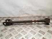 Querlenker hinten links