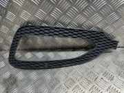 Nebelscheinwerferverkleidung