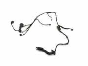 Kabel Tür Audi Q5 (8R) 8R0971687AF