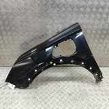 Kotflügel vorne links