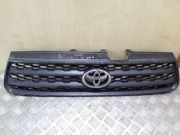 Kühlergrill komplett Toyota RAV 4 II (A2)