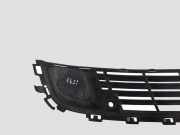 Gitter vorne unten CITROËN C5 III (RD_) 2.7 HDi