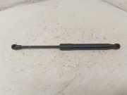 Gasfeder für Motorhaube Audi Q5 (8R) 8R0823359A