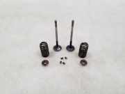 Auslassventile BMW 5 (F10) 550 i xDrive