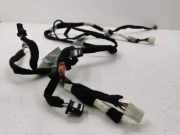 Kabelbaum RENAULT CLIO V (B7_) 1.3 TCe 130 (B7MF) 241602245R