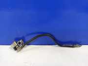 Massekabel Ford Transit Connect V408 Kasten () F1FT10C679BA