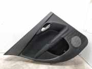 Türpolster hinten links