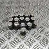 Radschraubensatz LAND ROVER RANGE ROVER EVOQUE (L538) 2.0 D 4x4 DJ32-1012-AA