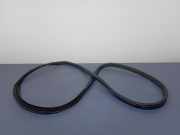 Türgummi links vorne BMW X6 (E71, E72)