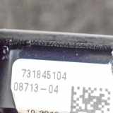 Schalter für Fensterheber links vorne BMW 4er Coupe (F32, F82) 73184519208107