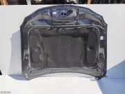 Motorhaube Lexus IS 2 (E2)