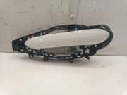 Türgriff links hinten BMW 1er (F40) 9881777
