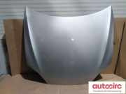 Motorhaube Tesla Model S (5YJS)