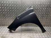 Kotflügel vorne links