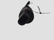 PUMPE SCHEIBENWASCHANLAGE VW BORA (1J2) 1.9 TDI 1J5955651