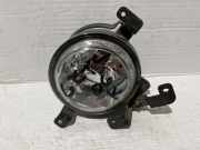 Nebelscheinwerfer links vorne Hyundai Getz (TB) 1011504