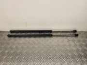 Heckklappe Gasdruckfeder links FORD FIESTA V Van 1.4 TDCi 2S61A406A10AC
