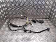 Kabel Tür Nissan Leaf (ZE0) 241273NA0A