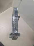 Nebelscheinwerfer vorne rechts BMW 5 Touring (G31) 520 d 7349132