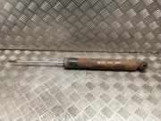 Stoßdämpfer hinten links PEUGEOT 406 (8B) 1.9 TD