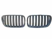 Gitter BMW X3 (E83) xDrive 20 d 51113420088