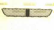 Gitter vorne unten TOYOTA YARIS (_P1_) 1.3 (NCP10_, SCP12_) 5311252090