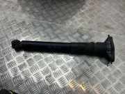 Stoßdämpfer hinten links CITROËN C4 III (BA_, BB_, BC_) e-C4 (BCZKXC) 9824423480