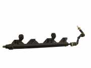 Einspritzleiste Peugeot 207 () 7575645