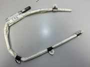 Airbag Dach rechts BMW 4er Coupe (F32, F82) 7292898