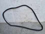 Vorderes rechtes Türdichtungsgummi CITROËN DS3 Cabrio 1.6 THP 155 9670312080