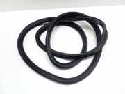 Türdichtung VW Passat B7 Alltrack (36, B7) 3C9867913B