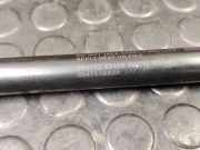 Gasfeder für Motorhaube Nissan Murano II (Z51) 654711AA0A