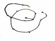 Kabelbaum Renault Master III Kasten (FV) 700032R