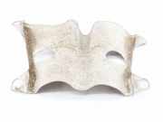 Heat Insulation AUDI A6 Allroad (4FH, C6) 2.7 TDI quattro 4F0521443