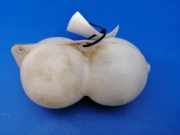 Vakuumbehälter MERCEDES-BENZ COUPE (C123) 230 CE (123.243) w123