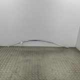 Dachleiste links TESLA MODEL 3 EV AWD 1083519-00-D