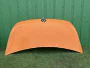 Motorhaube RENAULT MASTER III Furgon (FV) 2.3 dCi 125 FWD (FV0C, FV0D) 651001399R