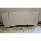 Motorhaube PEUGEOT EXPERT Furgon (222) 1.9 D 70