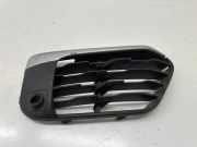 Vorderer oberer Gitter BMW X1 (F48) sDrive 18 d 7354776