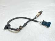 Lambdasonde Peugeot 607 () 0258006185