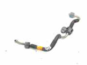 KRAFTSTOFFVERTEILER EINSPRITZLEISTE VERTEILERROHR HYUNDAI IONIQ (AE) 1.6 GDI Hybrid