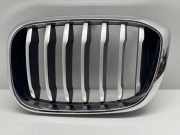 Gitter BMW X3 (G01, F97) M40 i xDrive 10297610