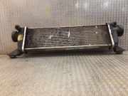 Ladeluftkühler Mercedes-Benz A-Klasse (W168) 1685000000