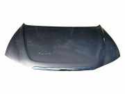 Motorhaube HYUNDAI SONATA V (NF) 2.0 CRDi