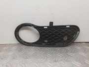 Gitter vorne unten MERCEDES-BENZ C (W203) C 220 CDI (203.006) A2038850923