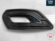 Glühlampe Xenon Ford Transit Custom V362 Kasten (FY, FZ) JK21R19953DB5YZ9