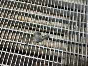 Beschleunigungssensor VW ID.3 (E11) Pro 5WA919275